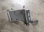 Radiateur origineel radiator Monster S4r S4 RS S4 ventilator, Motoren, Onderdelen | Ducati, Ophalen of Verzenden, Gebruikt