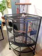 Cage perroquets de coin, Comme neuf, Enlèvement, Métal, Cage à oiseaux