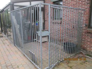 hondenren beschikbaar voor biedingen
