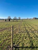 Paardenweide te huur