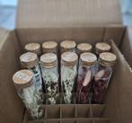 Proefbuisjes met droogbloemen, Verzenden, Nieuw
