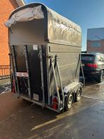 1.5 paards trailer, Ophalen, Gebruikt, Polyester, 1½-paards trailer