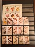 Vlinders, Ophalen of Verzenden