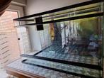 Terrarium in perfecte staat, Dieren en Toebehoren, Ophalen of Verzenden, Zo goed als nieuw