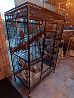 papengaaikooi, Dieren en Toebehoren, Ophalen, Zo goed als nieuw, Metaal, Vogelkooi