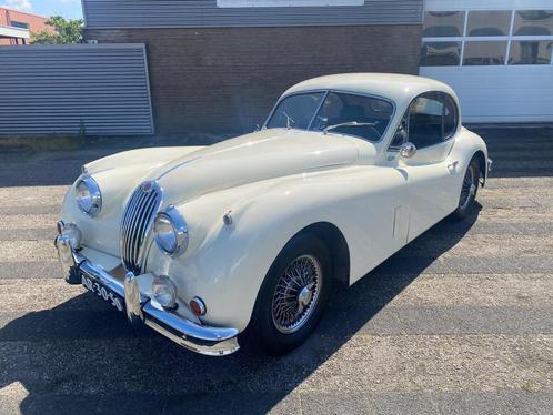 Jaguar XK 140 Nette staat 1956, Autos, Jaguar, Entreprise, Achat, XK, Essence, Coupé, 2 portes, Boîte manuelle, Blanc, Occasion