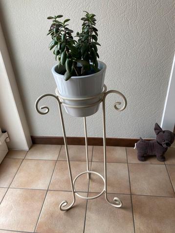 Plantenstaander met bloempot en plant, Enlèvement, Comme neuf
