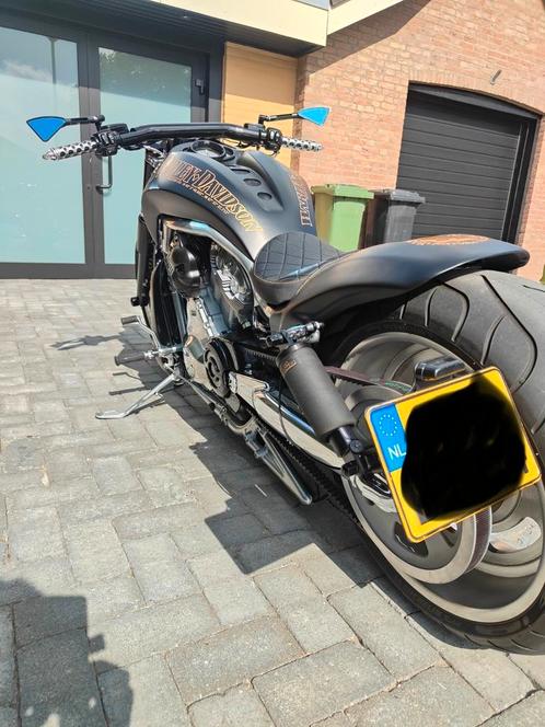 Harley Davidson Nicht Rod Special, Motoren, Motoren | Harley-Davidson, Particulier, Ophalen