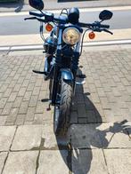 harley davidson iron 883, Entreprise, Plus de 35 kW, Chopper, 2 cylindres