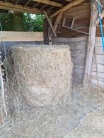 Balen hooi te koop, Zakelijke goederen, Landbouw | Veevoer, Ophalen