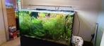 Aquarium, Animaux & Accessoires, Poissons | Aquariums & Accessoires, Enlèvement, Comme neuf, Aquarium vide
