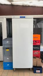 Frigo Liebherr ProfiLine, Ophalen, Gebruikt, Koelen en Vriezen