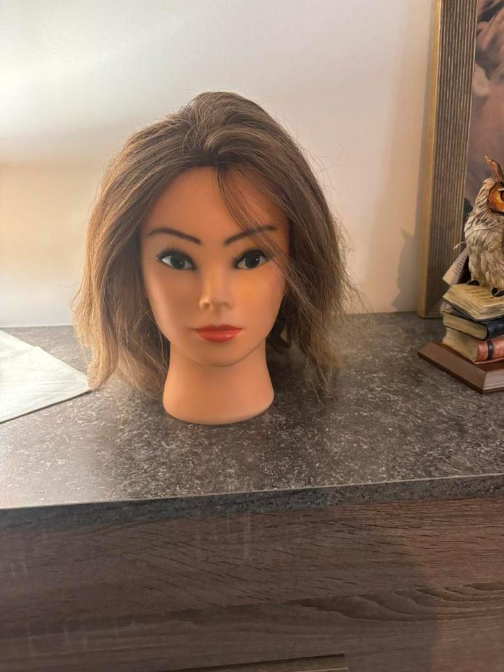 Oefenhoofden kapper, Hobby en Vrije tijd, Cursusmateriaal, Zo goed als nieuw, Taal en Studie, Ophalen