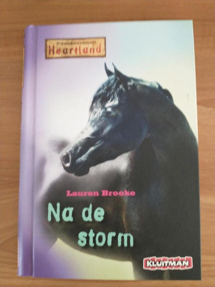 Lauren Brooke - Na de storm, Boeken, Kinderboeken | Jeugd | 10 tot 12 jaar, Nieuw, Ophalen of Verzenden