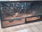 2 terrariums + baardagaam, Dieren en Toebehoren, Ophalen, Zo goed als nieuw