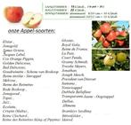 FRUITBOMEN : APPELS, PEREN, KERSEN, PRUIMEN, PERZIKEN,..., Tuin en Terras, Ophalen of Verzenden, Lente, Vaste plant, Fruitplanten