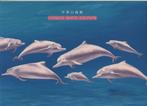 Dossier WWF de Hong Kong 1999 avec série de dauphins blancs, Envoi, Non oblitéré