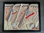 Oude schoolplaat huid 3D hout en plaaster, Antiek en Kunst, Antiek | Schoolplaten, Ophalen