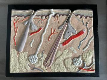 Oude schoolplaat huid 3D hout en plaaster beschikbaar voor biedingen