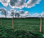 Gezocht weide, Dieren en Toebehoren, Stalling en Weidegang