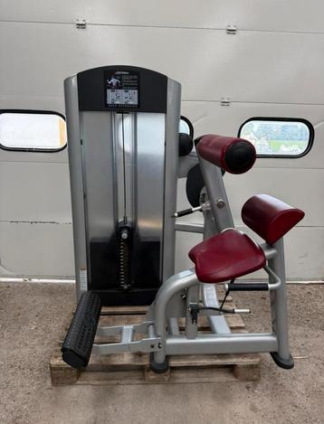Life Fitness Signature back extension / backextension beschikbaar voor biedingen