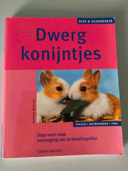 Boek Dwergkonijntjesstap-voor-stapverzorging van je lievelin, Boeken, Overige Boeken, Ophalen of Verzenden