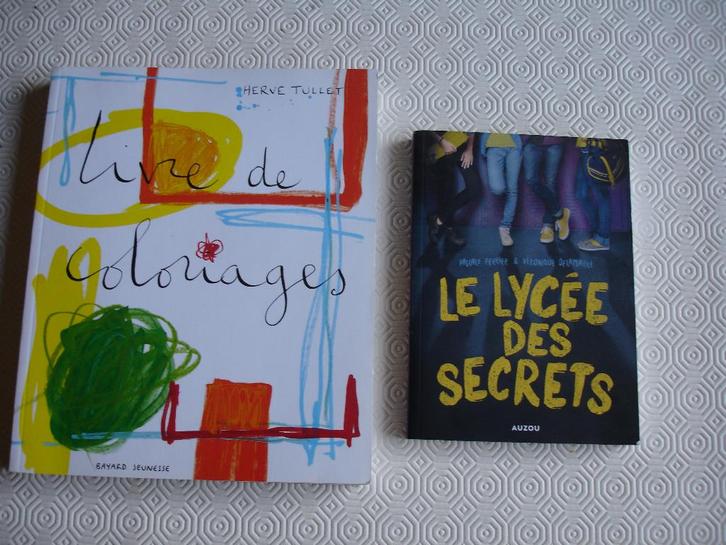 Artistiek kleurboek en tiener roman franstalig, Hobby en Vrije tijd, Tekenen, Ophalen of Verzenden