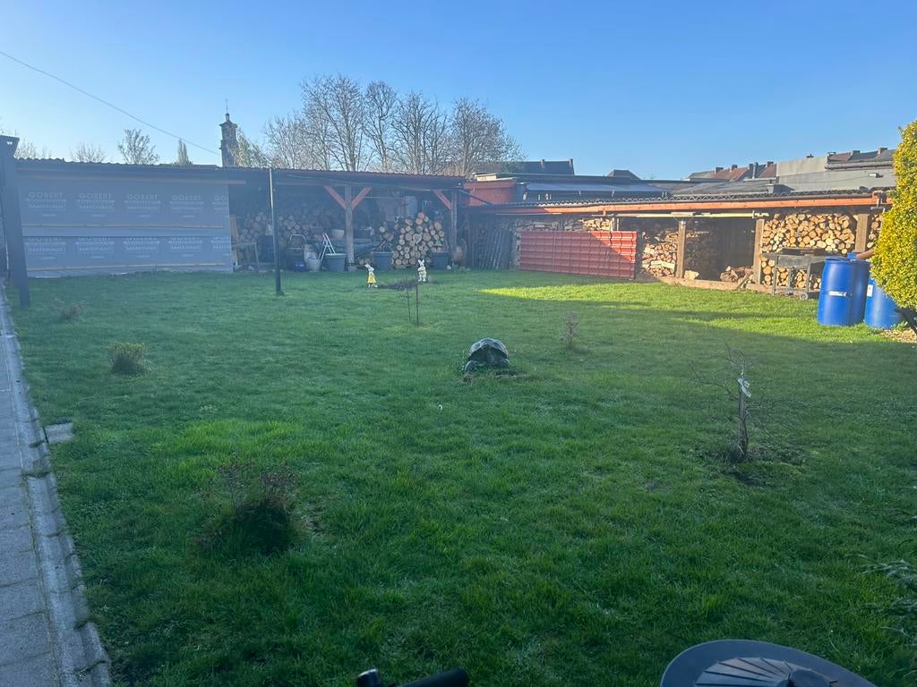 Recherche terrain prairie cloturer pour moutons sur mons, Animaux & Accessoires, Box & Pâturages, Élevage, Pâturage