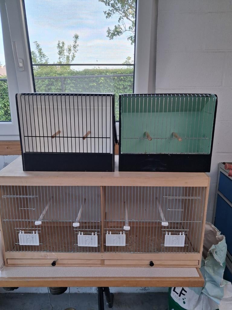 Tentoonstelling kooi en kweekkooi, Animaux & Accessoires, Oiseaux | Cages & Volières, Enlèvement ou Envoi