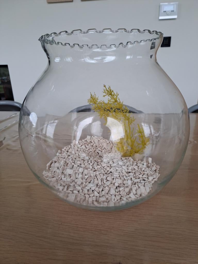 Glazen vis/planten bokaal, Ophalen