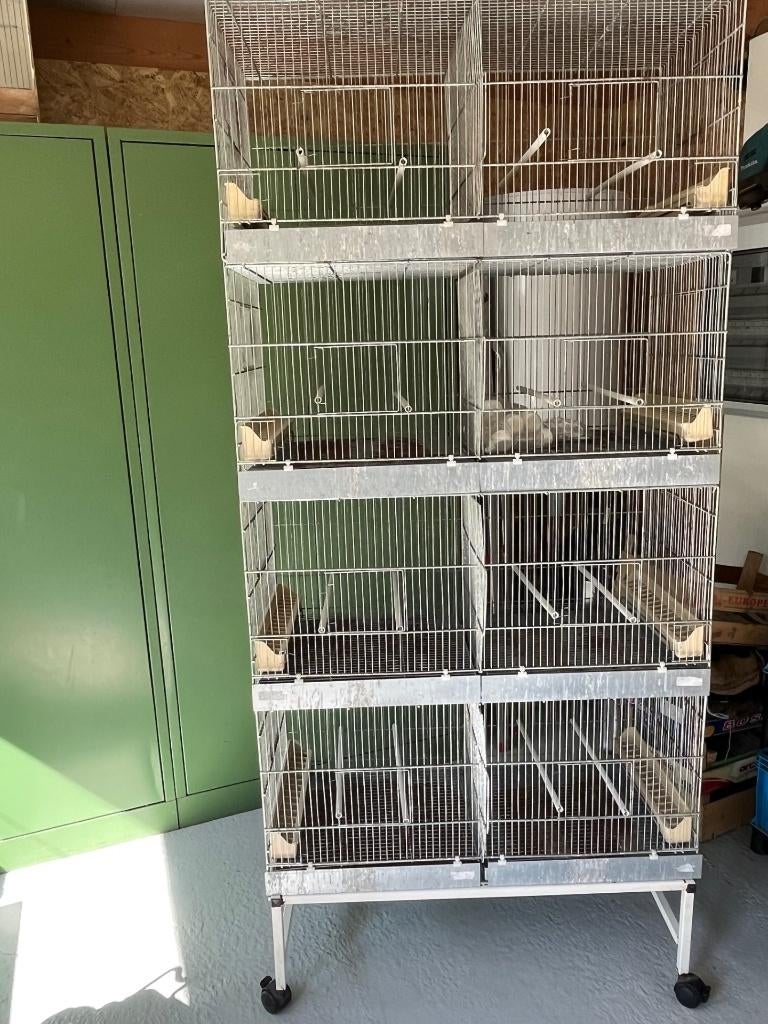 Draadkooi voor kweek kanaries, kleine parkieten......