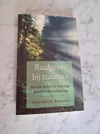 Raadgever bij trauma's - Gottfried Fischer, Boeken, Psychologie, Gottfried Fischer, Nieuw, Ophalen of Verzenden, Ontwikkelingspsychologie