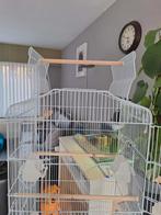 vogelkooi, Ophalen, Nieuw, Metaal, Vogelkooi
