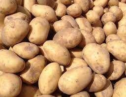 voeraardappelen, Zakelijke goederen, Landbouw | Veevoer, Ophalen of Verzenden