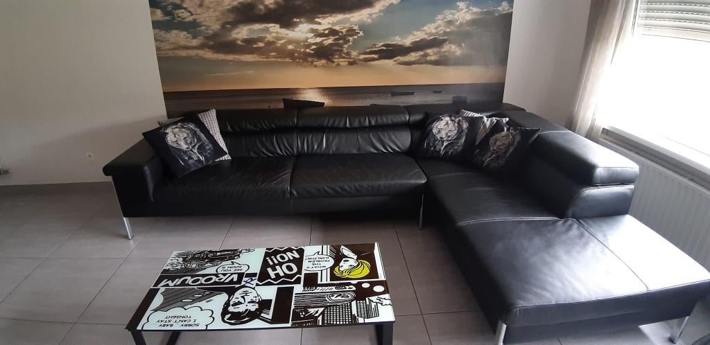 Salon, Ophalen, Gebruikt, Leer