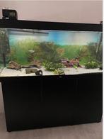 Aquarium juwel 450, Enlèvement, Comme neuf