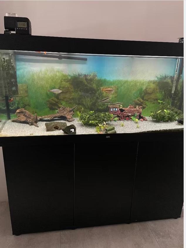 Aquarium juwel 450, Dieren en Toebehoren, Vissen | Aquaria en Toebehoren, Zo goed als nieuw, Ophalen