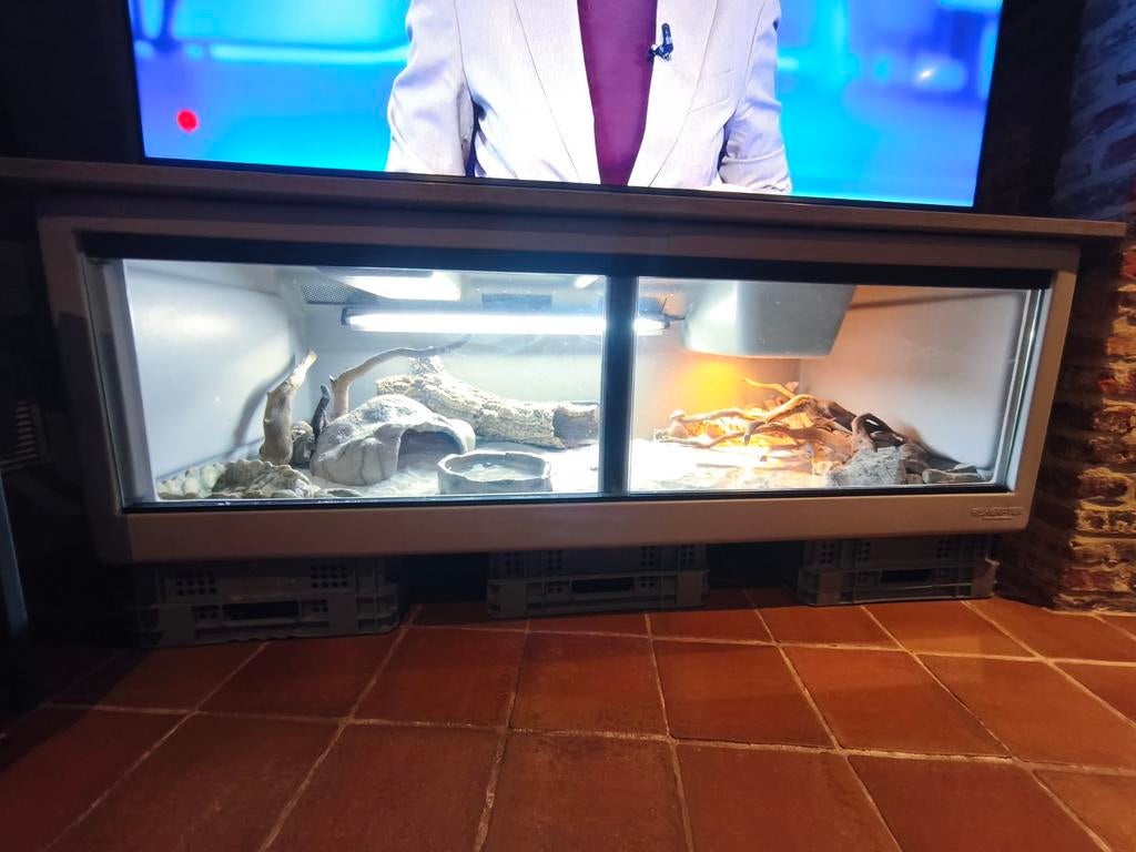 HERPTEK 150 met baardagaam, Ophalen