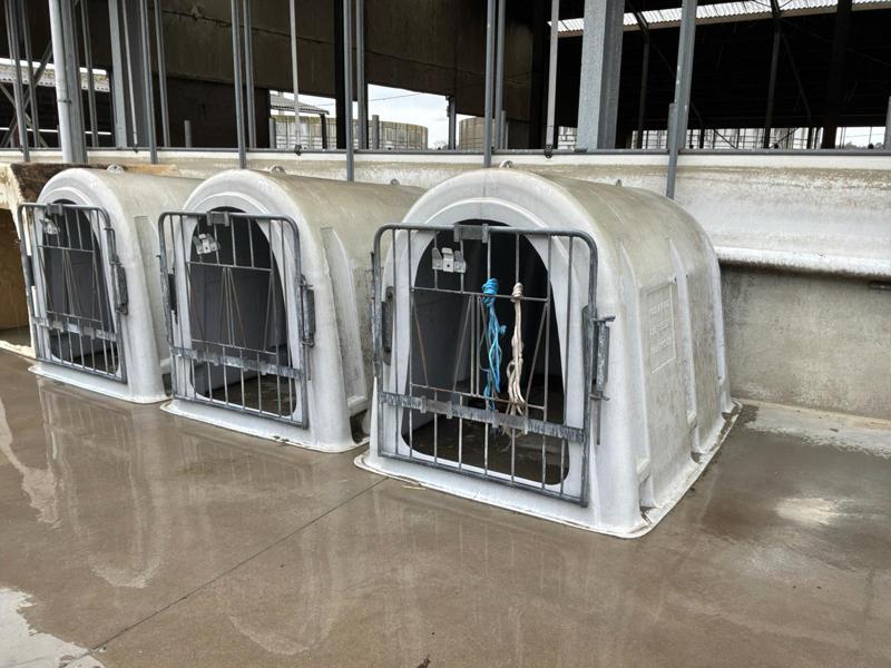 Sotralentz Calverhut (3x)