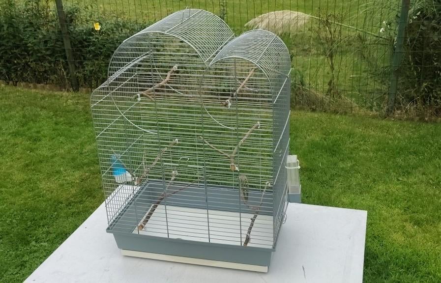 cage à oiseaux robuste, Enlèvement, Cage à oiseaux