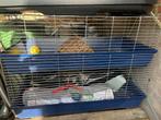 Kooi voor konijnen ,cavia, Dieren en Toebehoren, Ophalen, Gebruikt, Kooi, Konijn