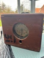 Constateur 100 jaar oud, Autres espèces