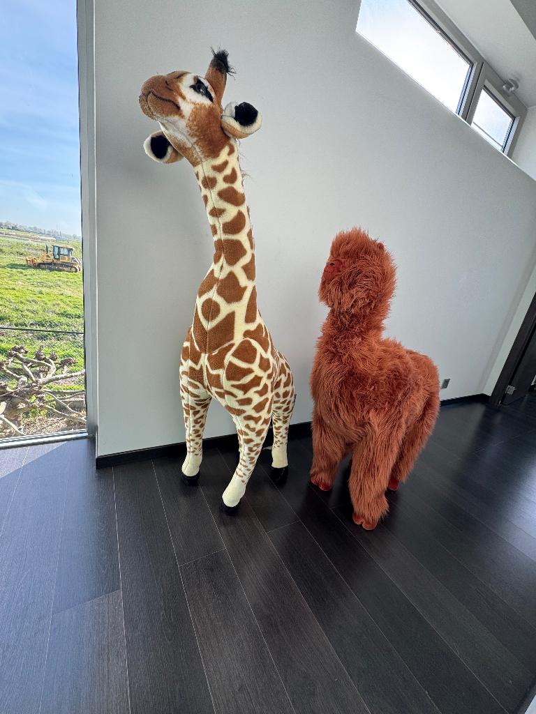Giraf en lama knuffel groot, Ophalen, Giraf, Zo goed als nieuw, Groot (groter dan 80 cm)