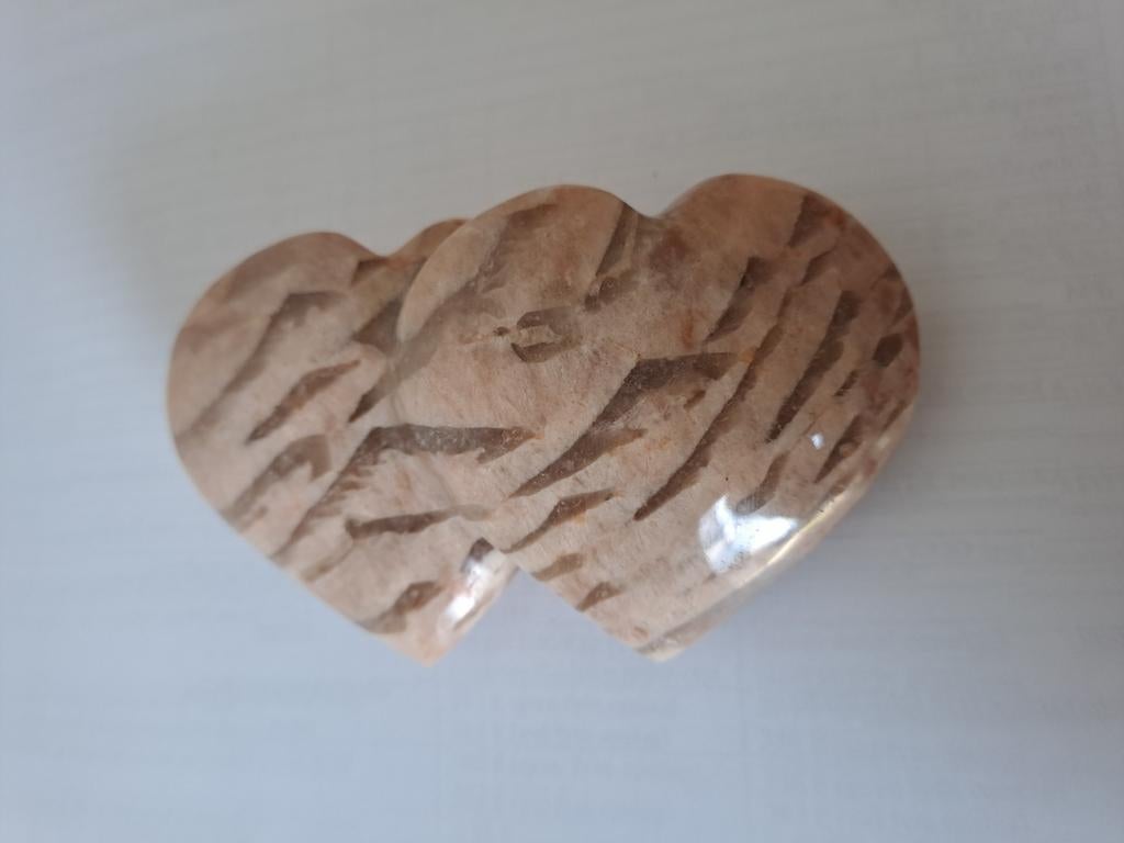 Zebra 8 x 5 cm, Verzamelen, Ophalen of Verzenden