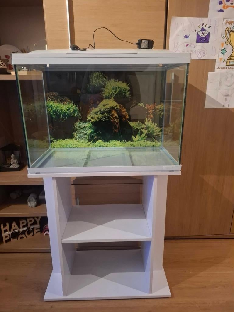 Aquarium 100L + witte kast + veel toebehoren, Animaux & Accessoires, Enlèvement, Decoratie