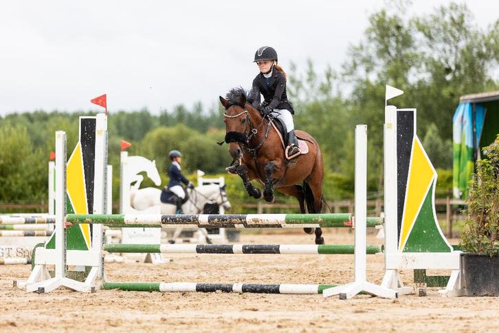 Lieve, vlotte c-springpony, Dieren en Toebehoren, Pony's, Merrie, L, C pony (1.27m tot 1.37m), Springpony, 11 jaar of ouder, Gechipt