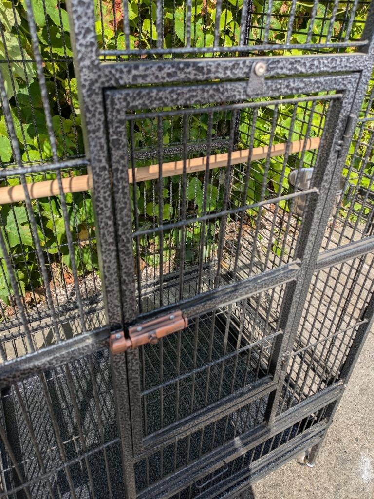 CAGE À PERROQUETS, Enlèvement