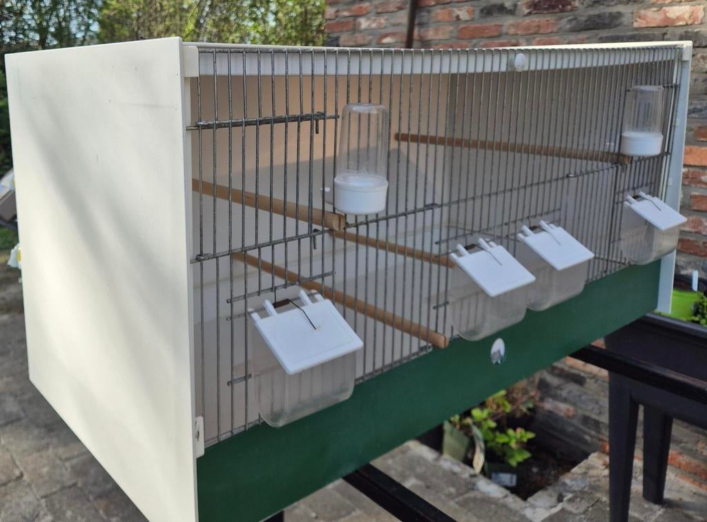 Kweekkooi JH Birdproducts, Ophalen