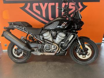 Harley-Davidson Tour Pan america (bj 2021) beschikbaar voor biedingen