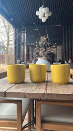 Gele bloempotten, 25 à 40 cm, Enlèvement, Utilisé, Intérieur